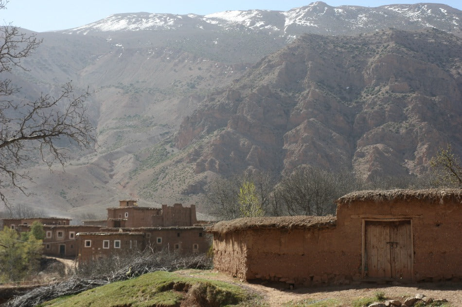 Beni Ourain diamond pattern black from 60x90 cm