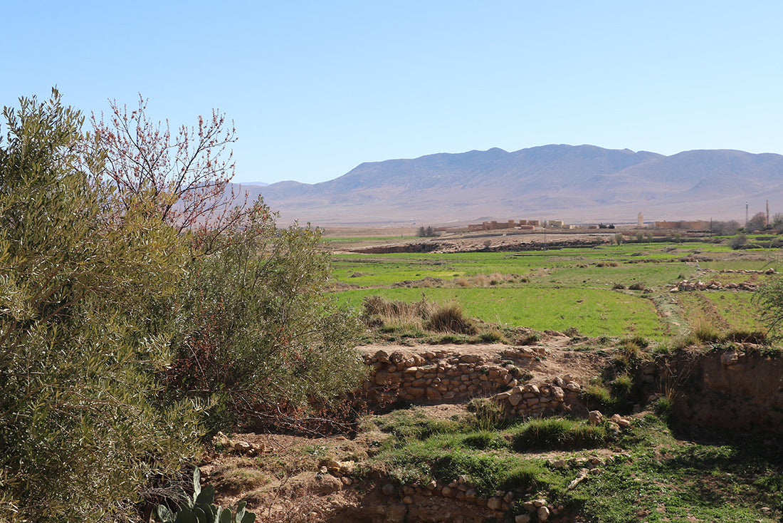 Berberteppich Beni Ourain Isli & Tislit ab 70x140 cm