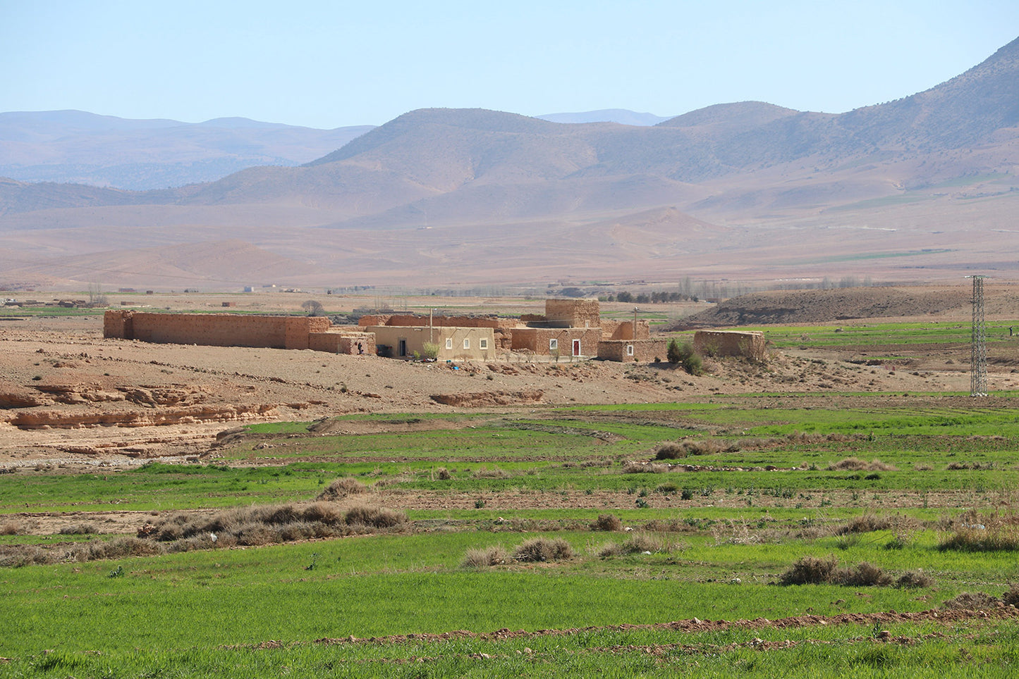 Berberteppich Beni Ourain Small Diamonds ab 70x140 cm