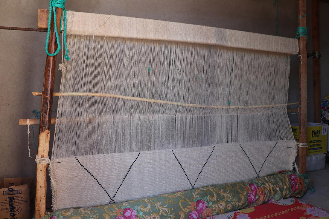 Beni Ourain zigzag lines and woven edge 61x92 in
